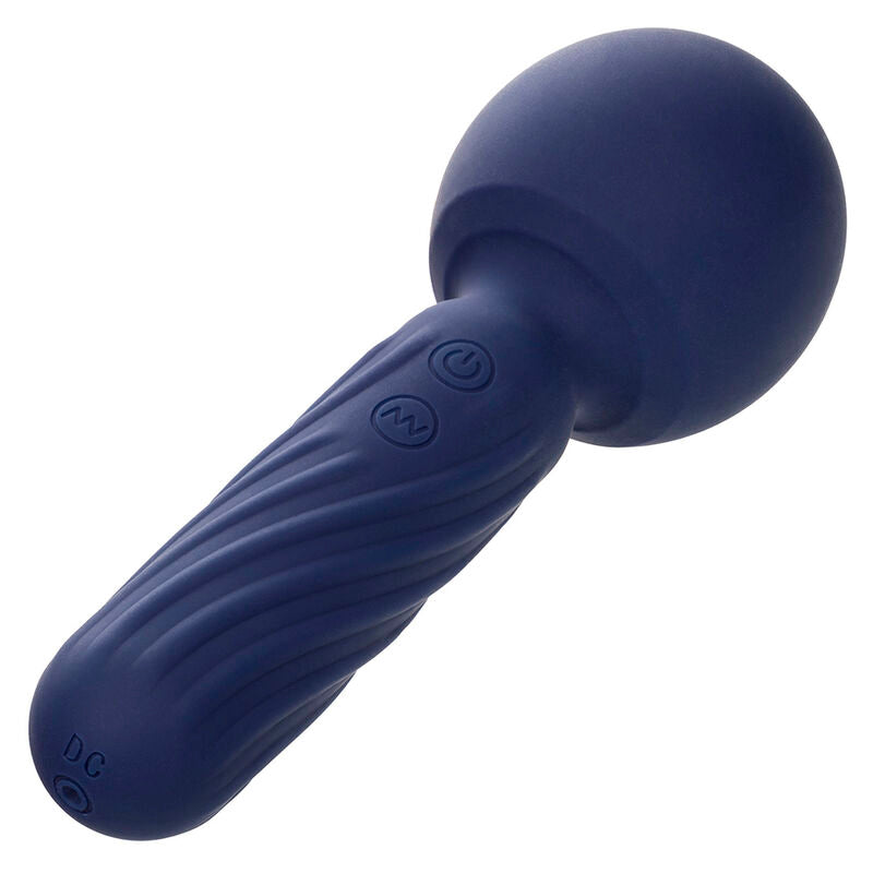 CALEXOTICS - CHARISMA SEDUCTION MASSEUR 12 FONCTIONS 17,75 CM X 6,25 CM VIOLET - Sensualia