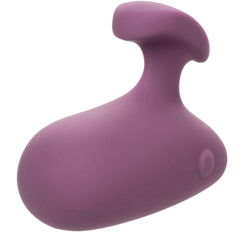 CALEXOTICS - STIMULATEUR MOD TOUCH VIOLET - Sensualia