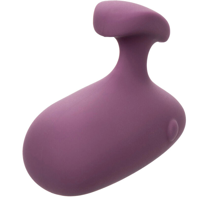 CALEXOTICS - STIMULATEUR MOD TOUCH VIOLET - Sensualia