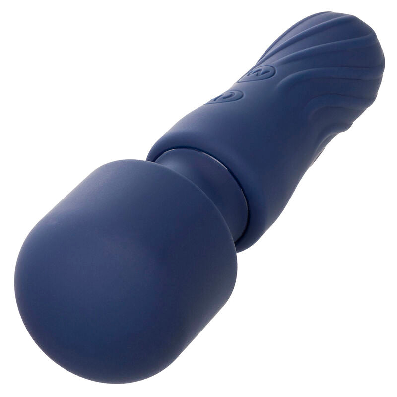 CALEXOTICS - CHARISMA CHARM MASSEUR 12 FONCTIONS VIOLET - Sensualia
