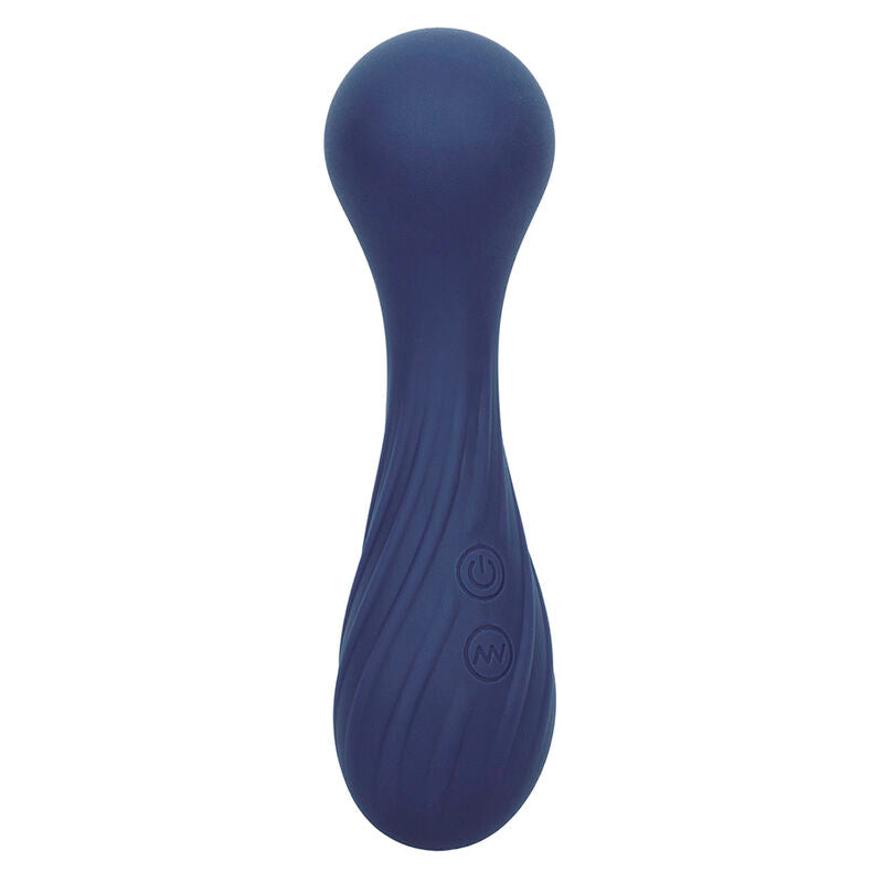 CALEXOTICS - CHARISMA TEMPTATION MASSEUR 12 FONCTIONS VIOLET - Sensualia