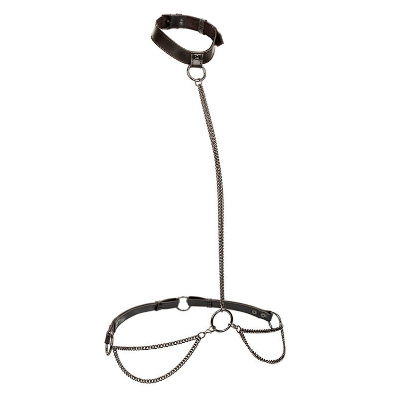 CALEXOTICS - EUPHORIA COLLIER ET LAISSE CHAINE - Sensualia