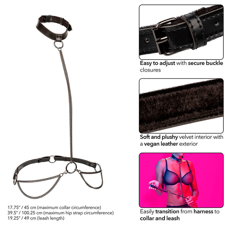 CALEXOTICS - EUPHORIA COLLIER ET LAISSE CHAINE - Sensualia