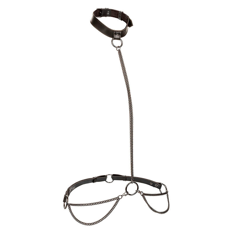 CALEXOTICS - EUPHORIA COLLIER LICOL ET LAISSE GRANDE TAILLE - Sensualia