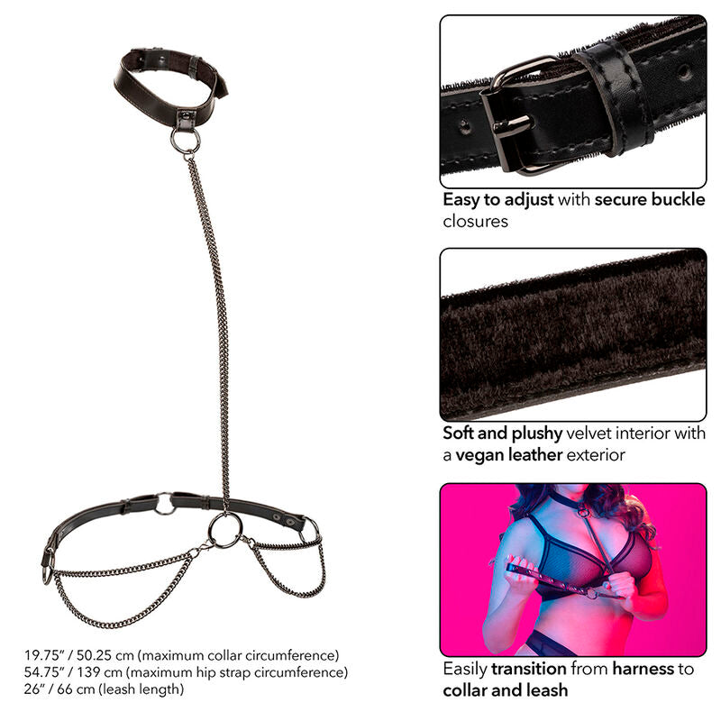 CALEXOTICS - EUPHORIA COLLIER LICOL ET LAISSE GRANDE TAILLE - Sensualia