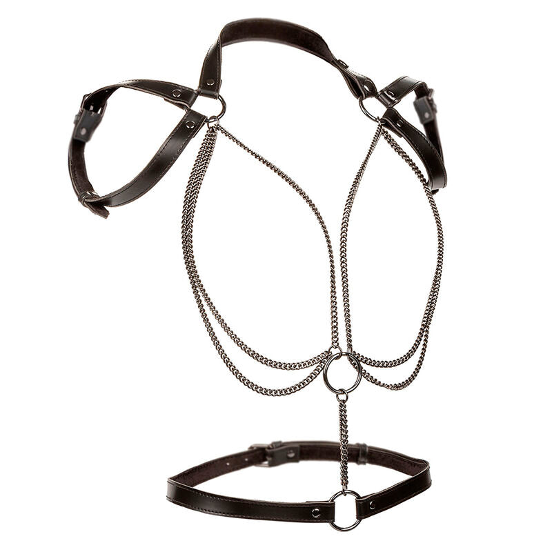 CALEXOTICS - EUPHORIA HARNAIS LICOL MULTICHAÎNES PREMIUM GRANDE TAILLE - Sensualia