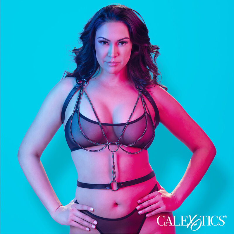 CALEXOTICS - EUPHORIA HARNAIS LICOL MULTICHAÎNES PREMIUM GRANDE TAILLE - Sensualia