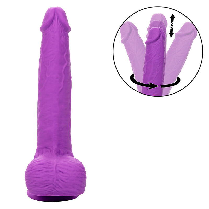 CALEXOTICS - STUDS VIBRATEUR RECHARGEABLE ET ROTATIF 10 VIBRATIONS VIOLET - Sensualia