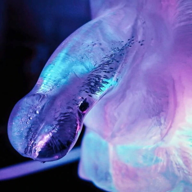 PLAY WIV ME - HUGE PENIS ICE LUGE MOULE - Sensualia