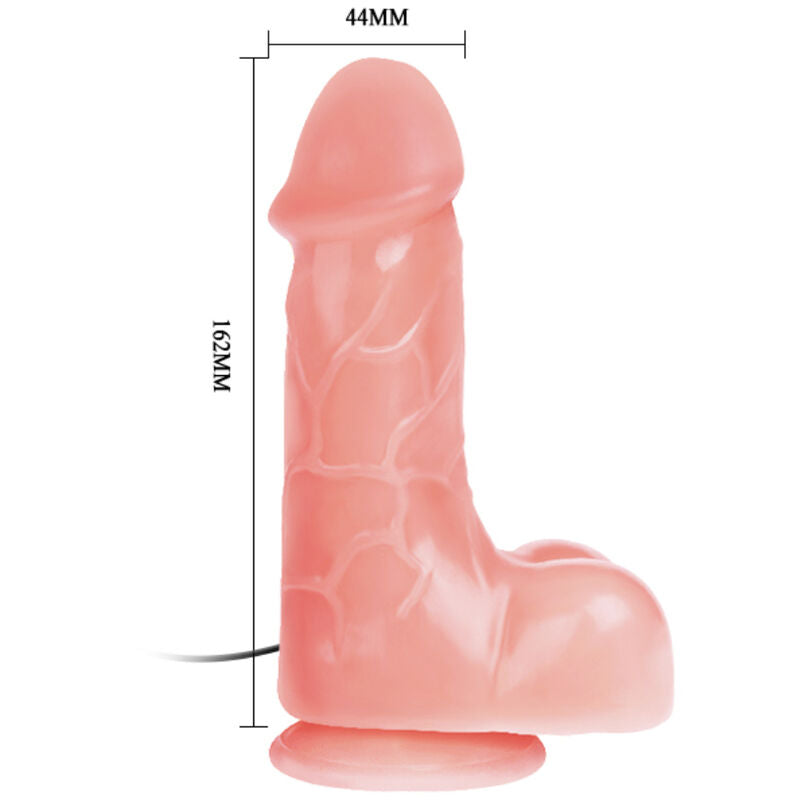 BAILE - GODE VIBRATEUR RÉALISTE SUPER DONG EMPEREUR INTREPIDE - Sensualia