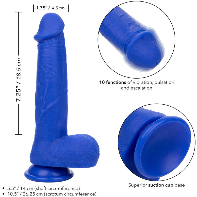 CALEXOTICS - ADMIRAL VIBRATEUR GODE RÉALISTE CAPTAIN BLEU - Sensualia