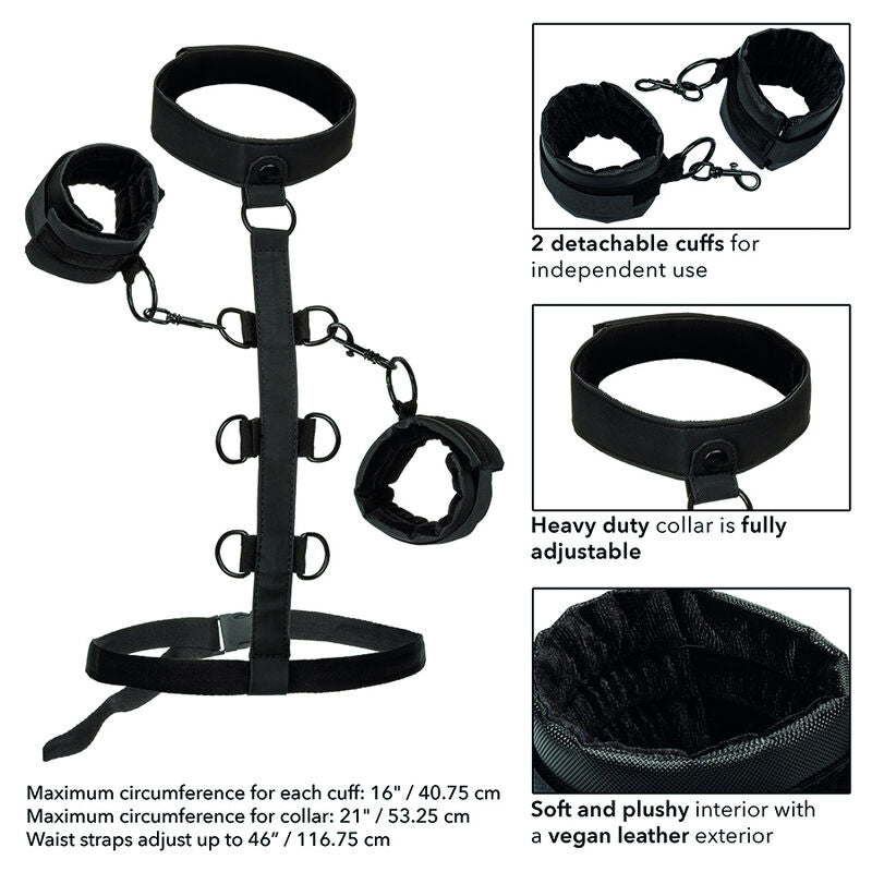 CALEXOTICS - BOUNDLESS COLLIER DE RETENUE - Sensualia