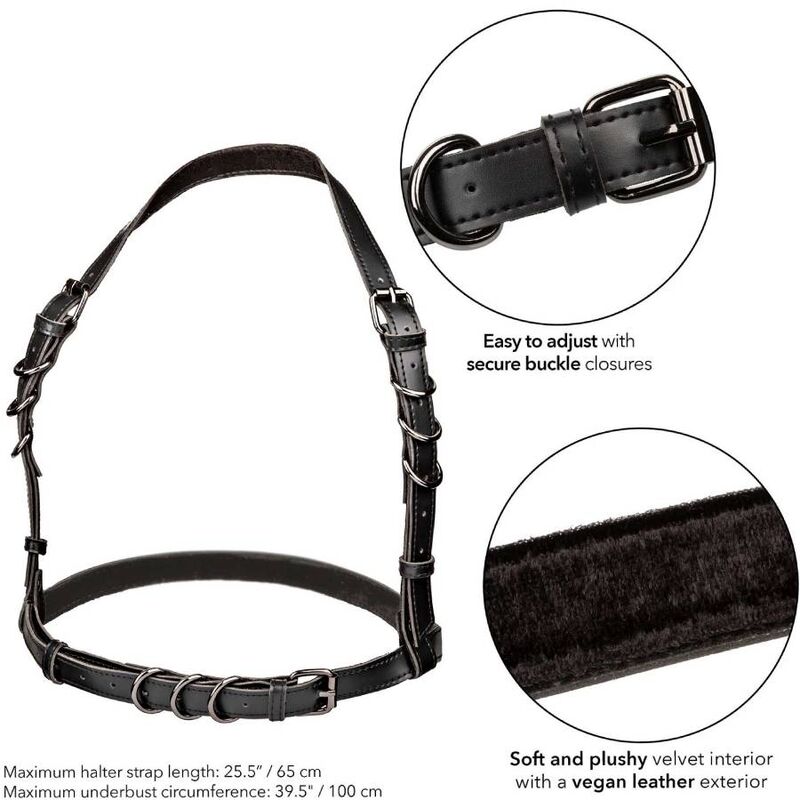 CALEXOTICS - EUPHORIA HARNAIS BOUCLE LICOL NOIR - Sensualia