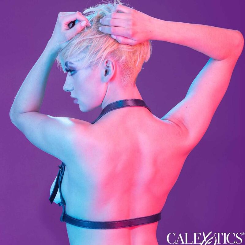 CALEXOTICS - EUPHORIA HARNAIS BOUCLE LICOL NOIR - Sensualia
