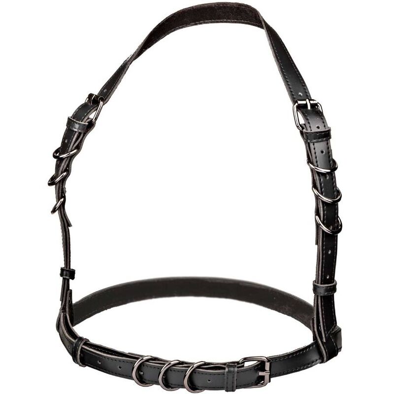 CALEXOTICS - EUPHORIA HARNAIS BOUCLE LICOL TAILLE PLUS NOIR - Sensualia