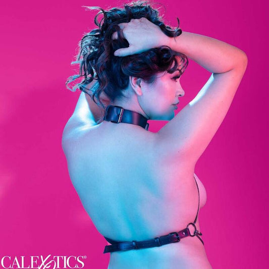 CALEXOTICS - EUPHORIA HARNAIS COLLIER MULTI CHAÎNES TAILLE PLUS - Sensualia