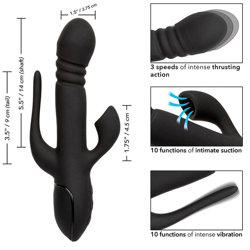 CALEXOTICS - VIBRATEUR TRIPLE EUPHORIA NOIR - Sensualia