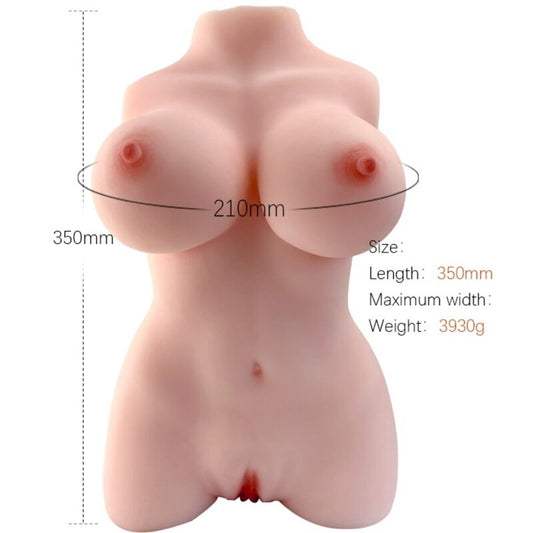 ARMONY - MODÈLE RÉALISTE DE TORSE FÉMININ 3 ARMONY FOR HIM