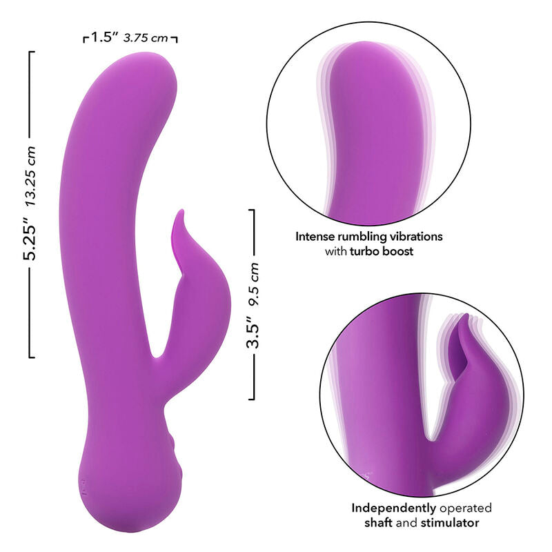 CALEXOTICS - FIRST TIME VIBRATEUR PLEASER RECHARGEABLE VIOLET - Sensualia
