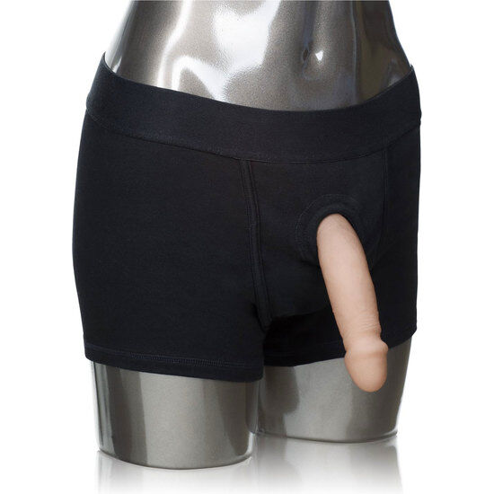 CALEXOTICS - HARNAIS BOXER - Sensualia