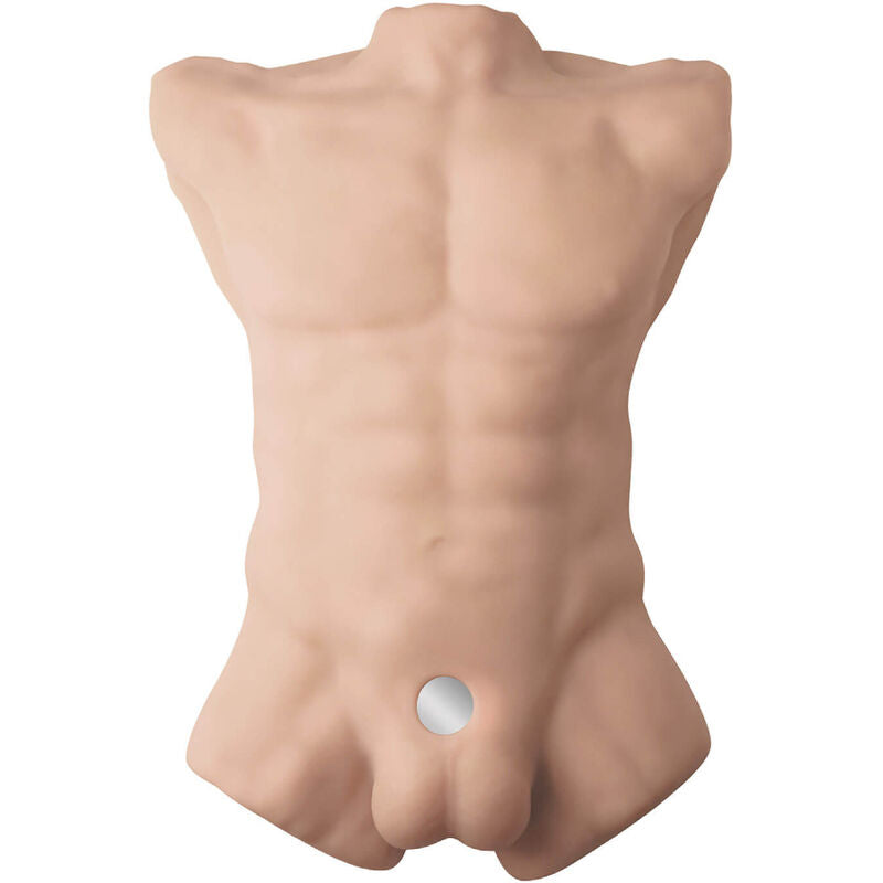 SILEXD - TORSE MASCULIN RÉALISTE APOLLO L - Sensualia